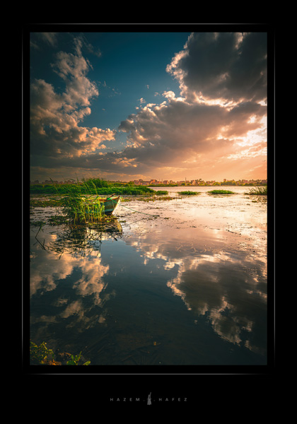 Landscape Nature