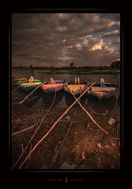 Landscape Nature