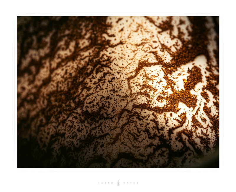 Landscape Nature