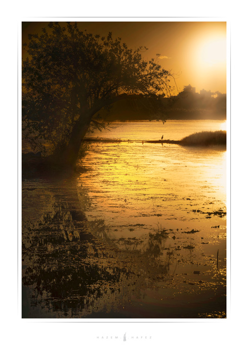 Landscape Nature